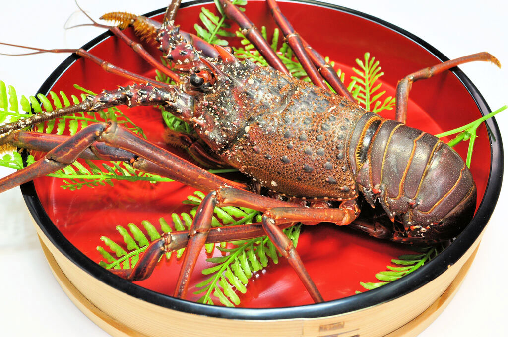 海鮮オプション