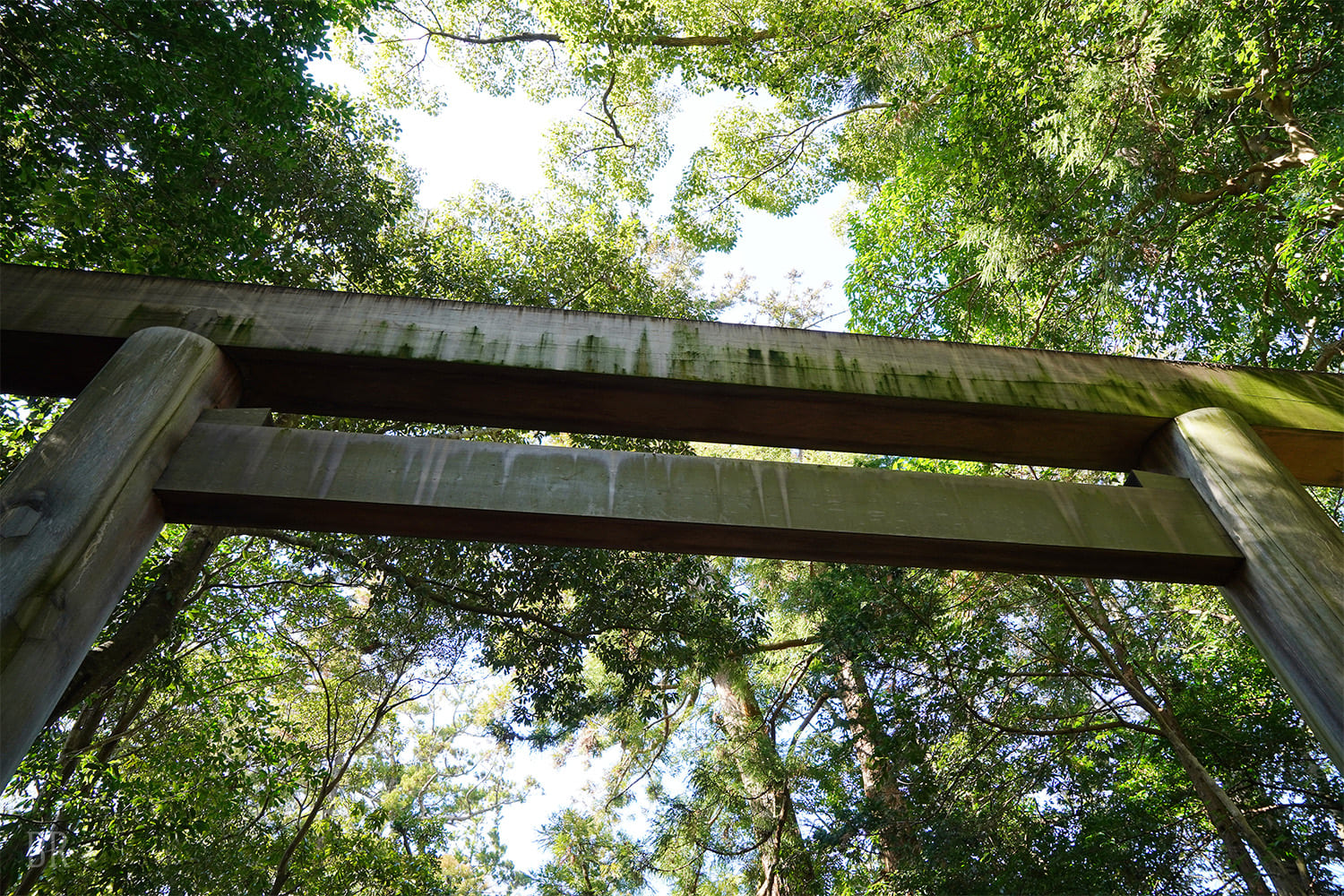 伊勢神宮へ